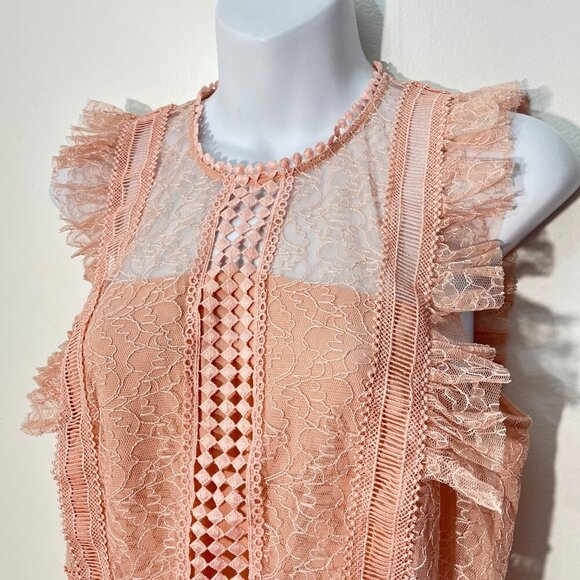 Heartloom Lace Flutter BabyDoll Sheer‎ Dusty Pink Top Size M - Picture 2 of 9